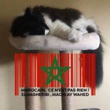 bendaoudhassan8