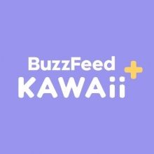 bf.kawaiiplus