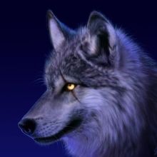 bigbadwolfwolfy