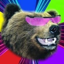 bigbearsfight
