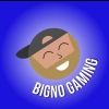 bigno.51