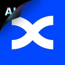 bingxofficial