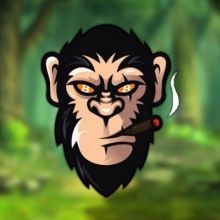 bitcoin.ape5