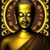 bitcoin.buddah