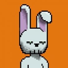 bitcoinbunnys