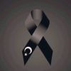 bitcoinfanaticc