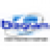 bizgram