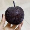 blackapplehldgs