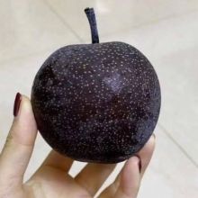 blackapplehldgs