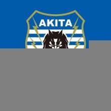 blaublitz.akita