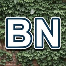 bleachernation