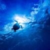 blue.snowmoon