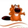 bobruin.by