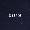 bora.twts