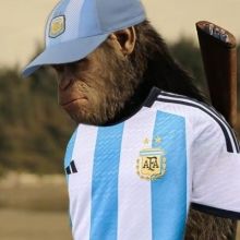 bostermo
