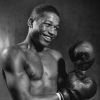 boxinghistory