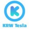 brianchoi.tesla