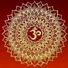 brijpal43219651