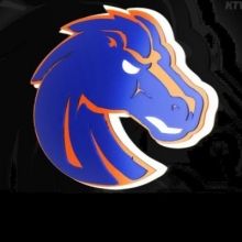 bronco.hammer