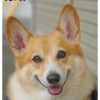 buddy1957090828