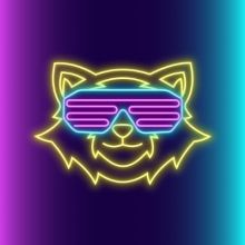 bulletnox