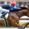 bun.horseracing