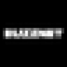 buzznet