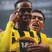 bvbfraud