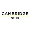 cambridgestud