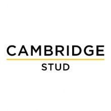 cambridgestud
