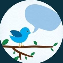 canariesblue