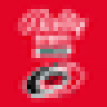 canesonbally