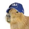 capybarhaas
