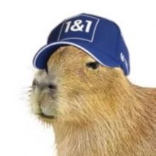 capybarhaas