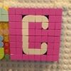 carp12cerezo