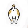 catbuttocks