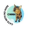 catswithnohope