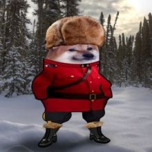 cavanaughto