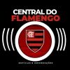 centralflanacao