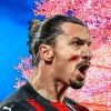 cerezozlatan
