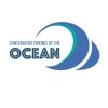 cfotocean