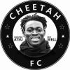cheetah.fc
