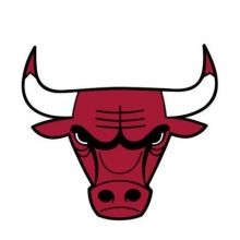 chicagobulls