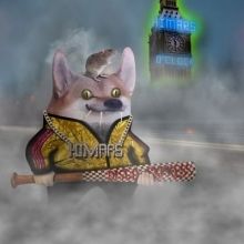 chiftaine