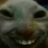 chocaspob