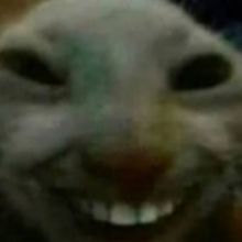 chocaspob