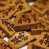 chunichishogi