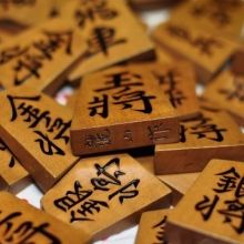 chunichishogi