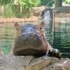 cincinnatizoo