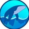 coinaquarium